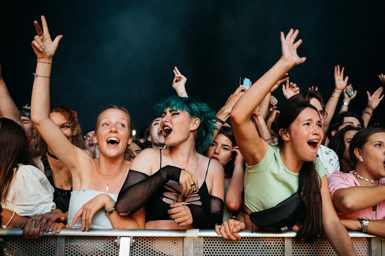 VYV Festival / Public