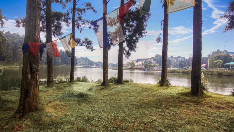Magical Mirik Lake