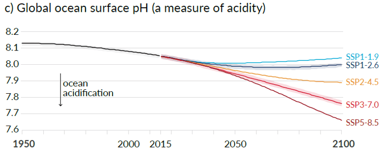Evolution du PH des océans - GIEC