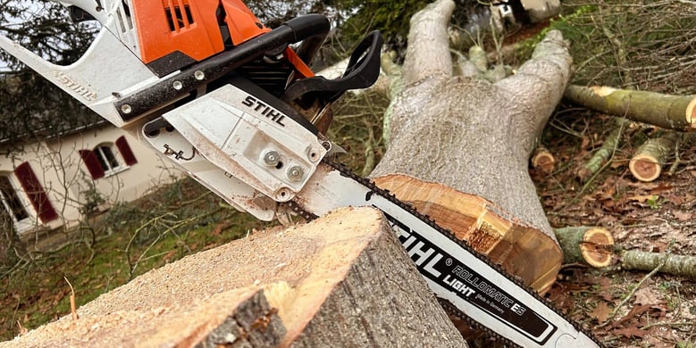 a chainsawer is cutting down a tree stump