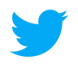 Twitter Logo