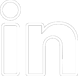 linkedin icon