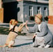 Woman and dog crouched on street high fiving each other