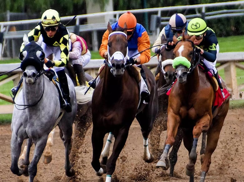 carreras de caballos online