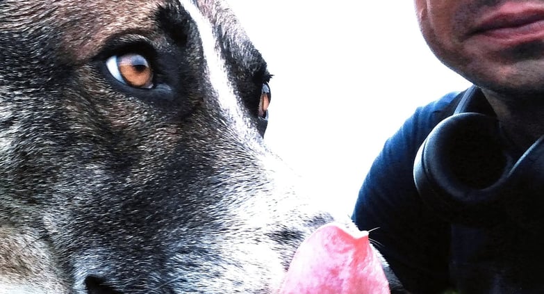 smiling man with glasses and black baseball cap and dog licking its face