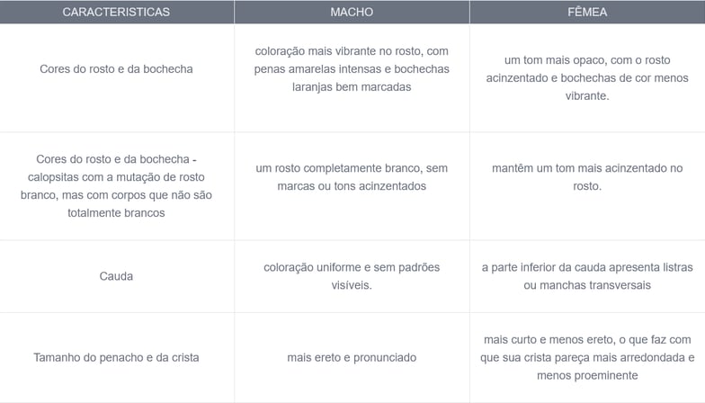 diferenciação sexuais das calopsita pela carcteriticas fisicas