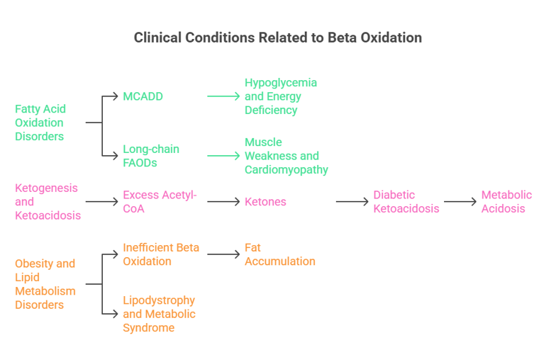 beta oxidation clinical co relations