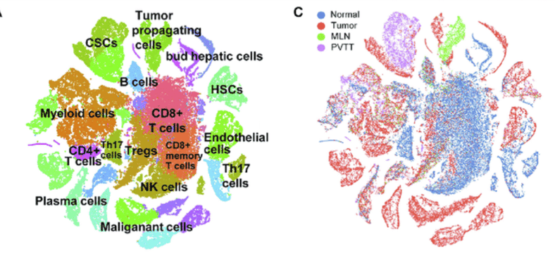 Clustering and visualization of tumor cells