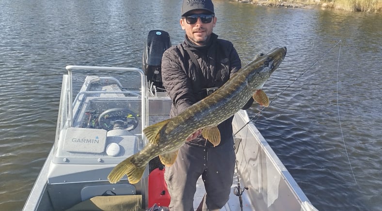 a fisherman is on a fishing boat in sweden with a pike, a boat  from fishing escape sweden. 