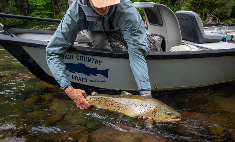 David releases his new personal best- 28.5