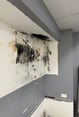 wall containing black mold from moisture