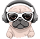 Dog'd head with headphone.