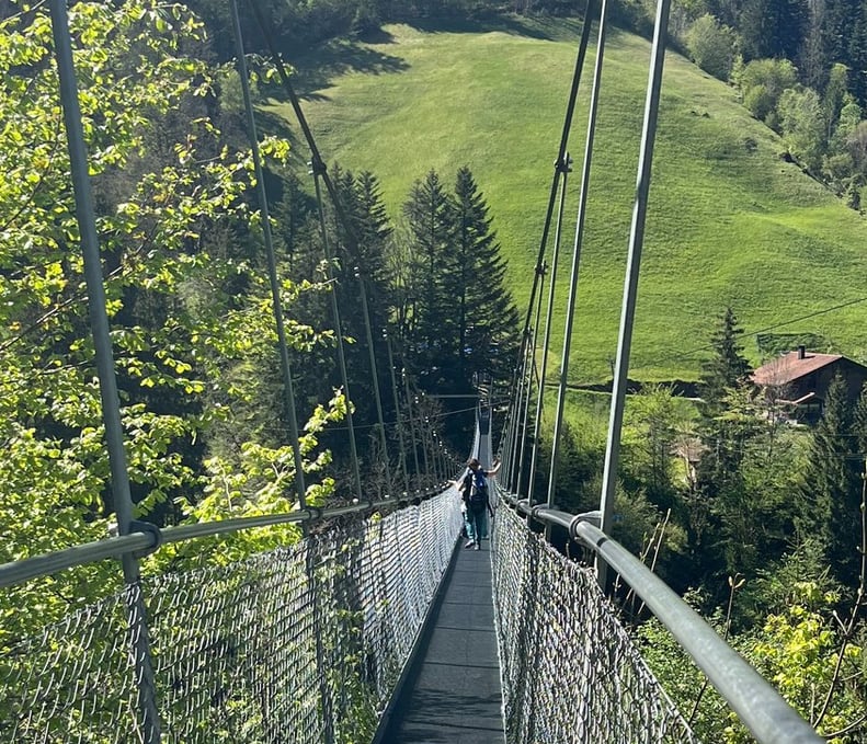 Looking down Hangebrucke Hostalde outside of Frutigen