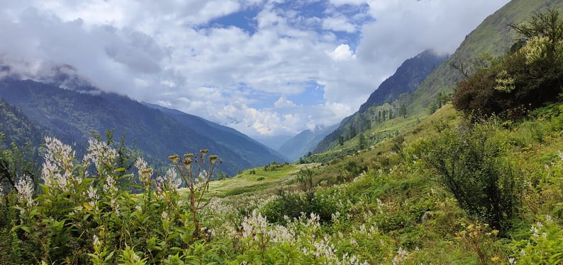 a mountain scene with a cow grazing in the valley