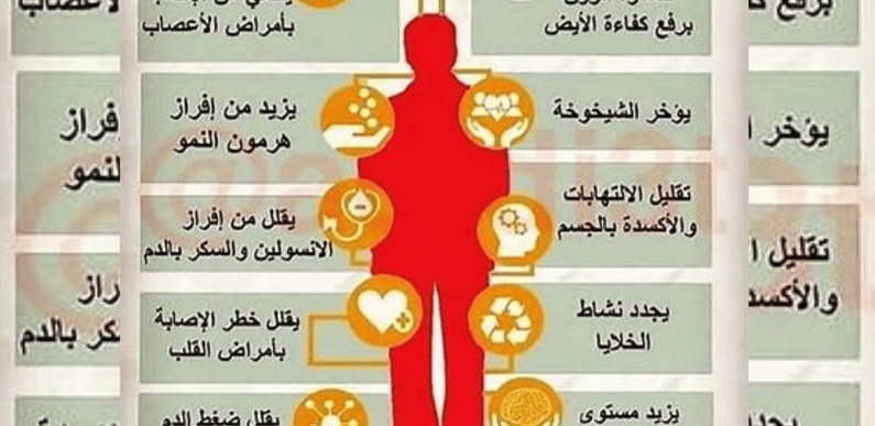 من فوائده تاخير الشيخوخة فوائد الصيام