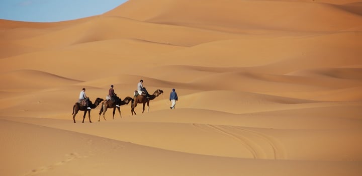 a group of people riding on camels in the desert