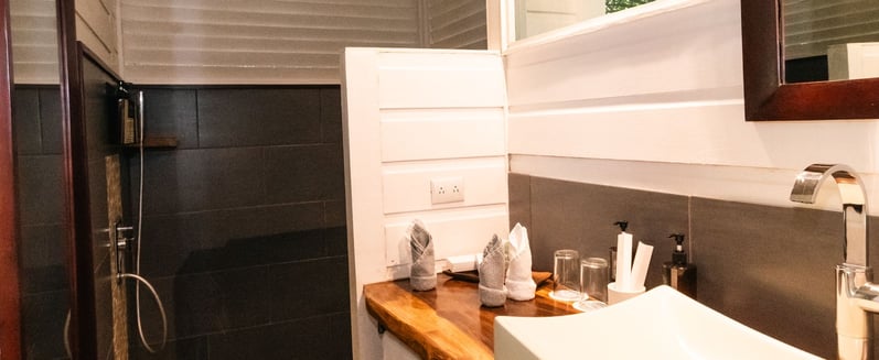 a bathroom with a sink and a shower