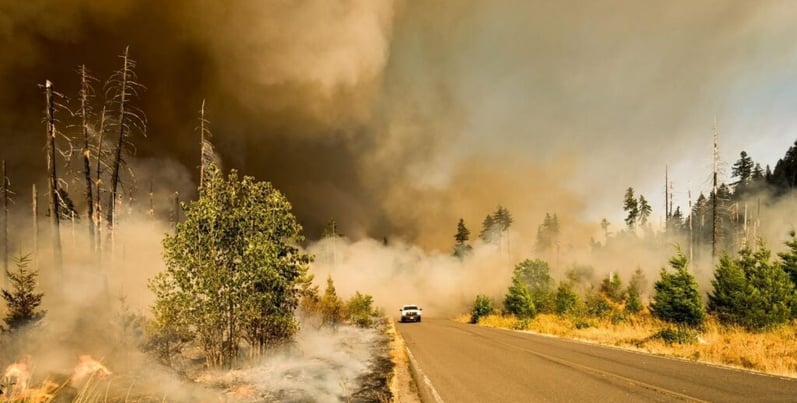 Truck driving out of wildfire smoke
