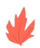 Studio Érable - graphiste au Pays Basque logo