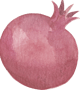 watercolor pomegranate