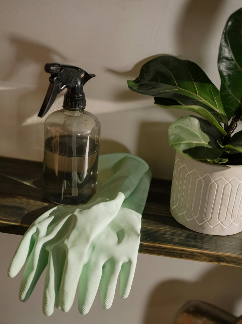 Professional cleaning staff carpet care