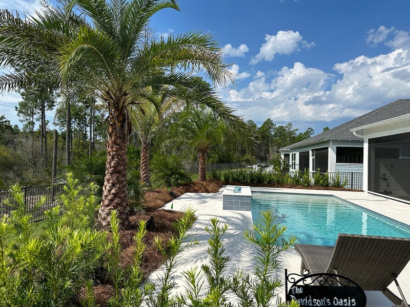 Completed outdoor living landscape with tropical plantings