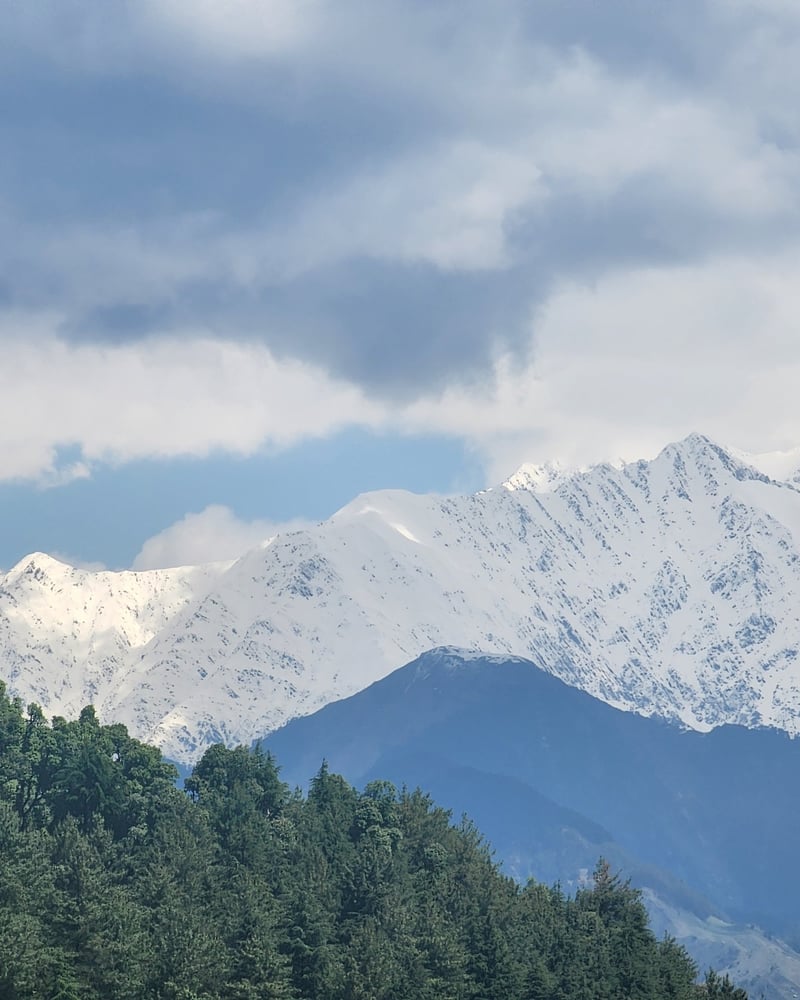 Wild Orchid Trail location