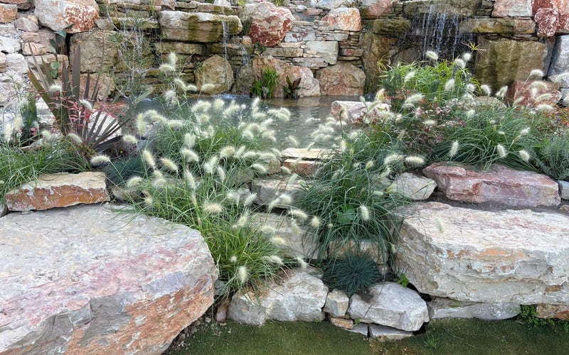 Naturalistic pool