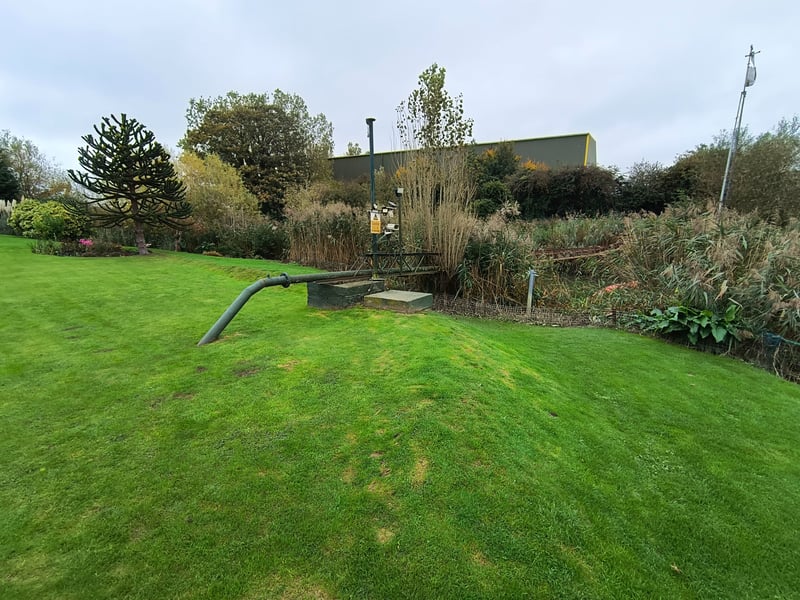 A trimmed privet hedge in Deal