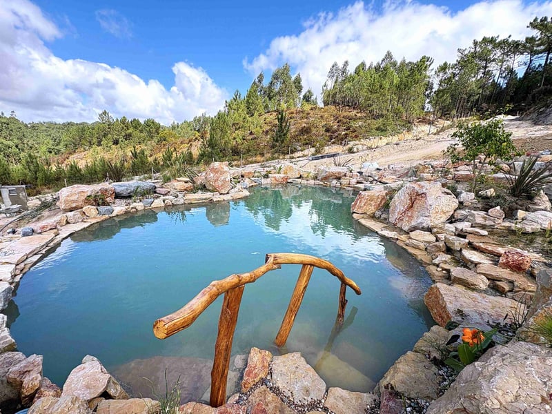 Construtores de piscinas naturais em Portugal