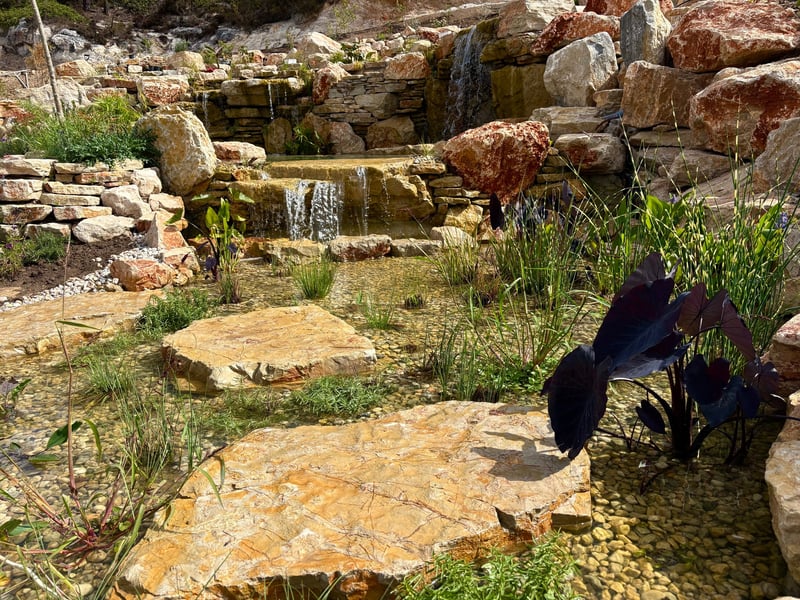 Top natural pool companies in Portugal