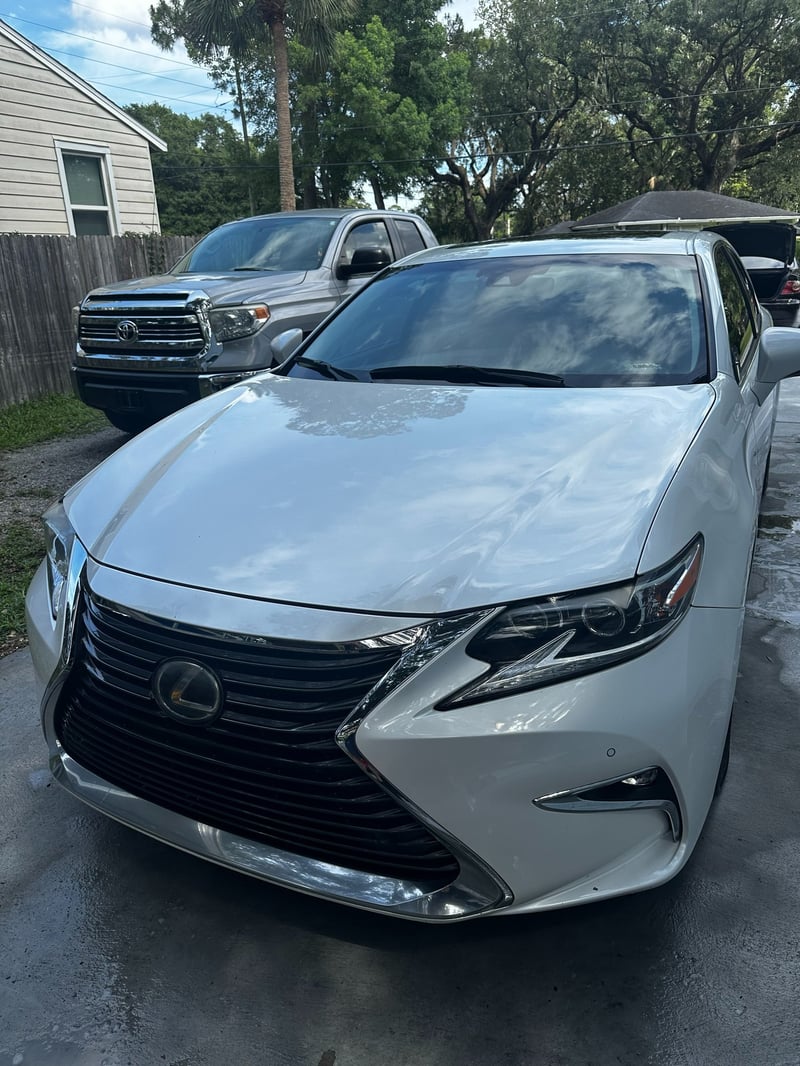 Freshly detailed vehicle exterior
