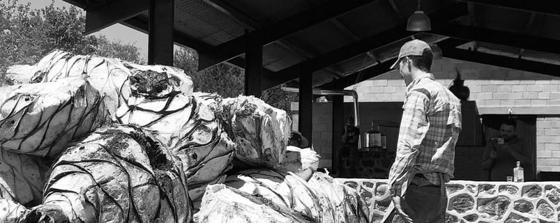 a man standing in front of a pile of bags