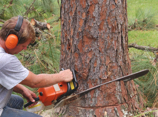 a man is using a chainsaw to cut a tree