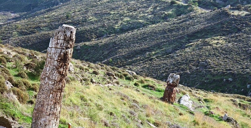 a wooden fence post with a wooden post in the foreground the petrified forest lesbo island in greece
