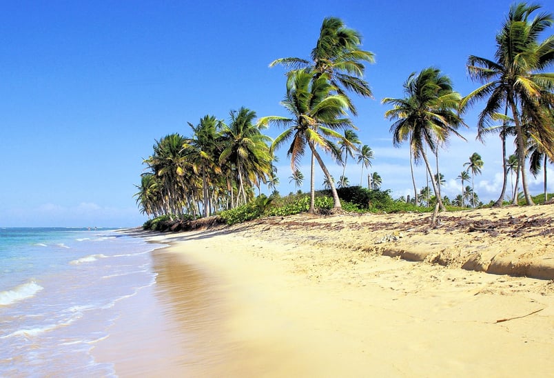 Miches beach with soft sand, calm waves, and palm trees in the Dominican Republic
