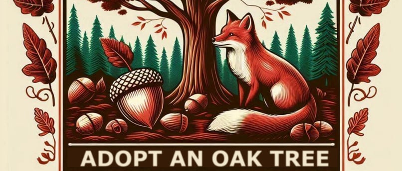 Sicilian Whiskey Adopt an Oak