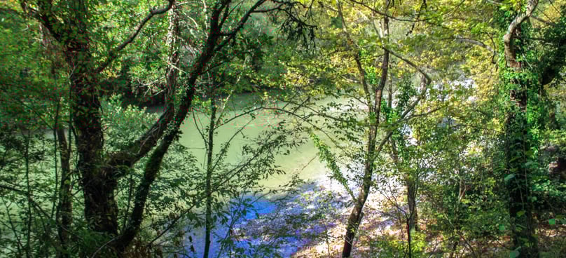 Hiking trail view