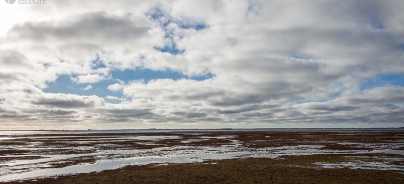 Marshland area in Nyord