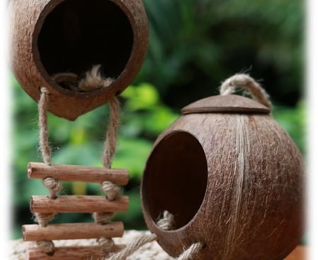 Pet House (Reptile, Hamster, Bird…) , Nhà dành cho thú cưng ( chuột hamster, chim...) UpBe Food VN