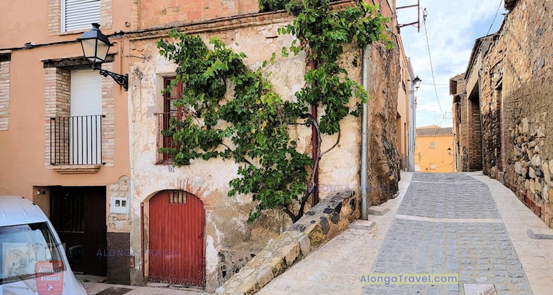 a beautiful wine tree covering a wall of a medieval house in Espluga de Francoli in Catalonia, Spain