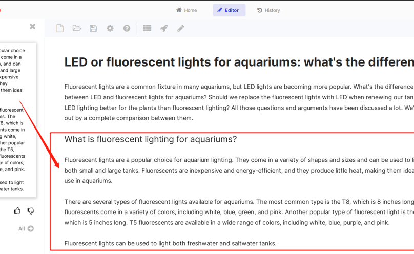 Wordhero AI Blog Paragraphs Output