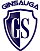 apsaugos sistemos Ginsauga