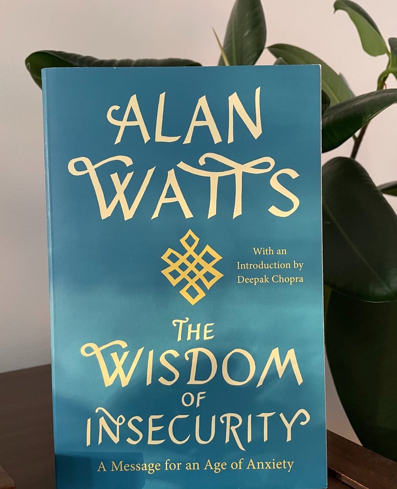 a book cover of the wisdom of insecurity