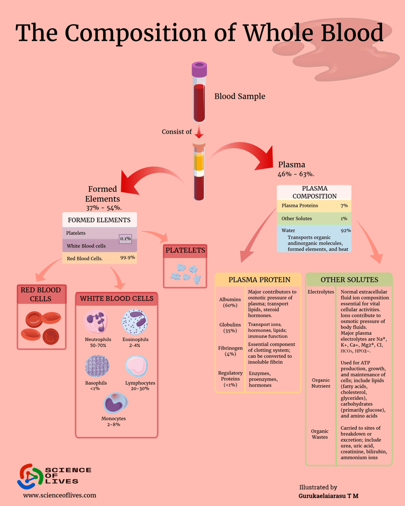 the composition of whole blood