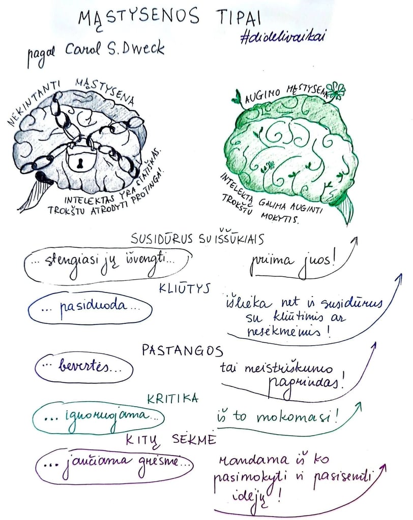 dideli vaikai schema apie mąstymo tipus dweck