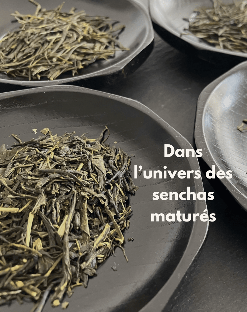 Feuilles de sencha maturées