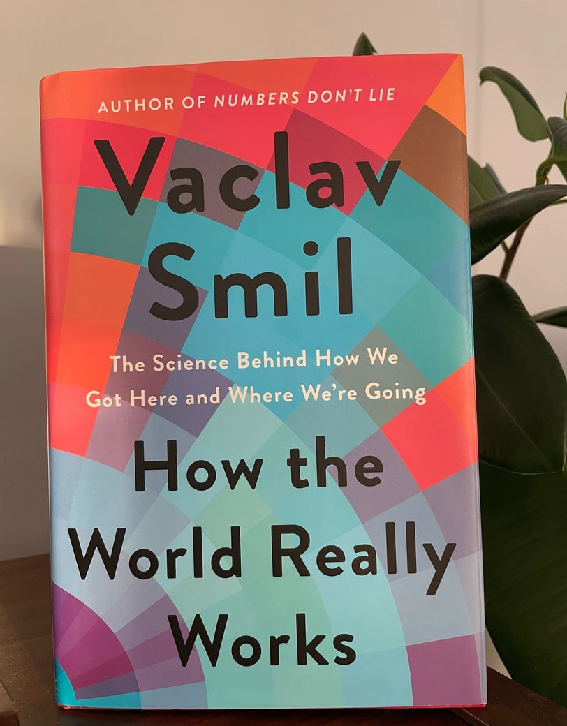 a book cover of how the world really works