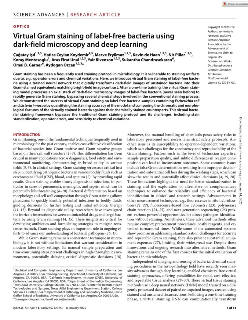  Virtual Gram staining of label- free bacteria using  dark- field microscopy and deep learning