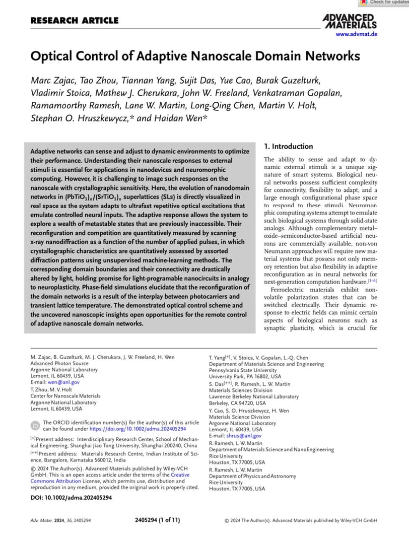 Optical Control of Adaptive Nanoscale Domain Networks